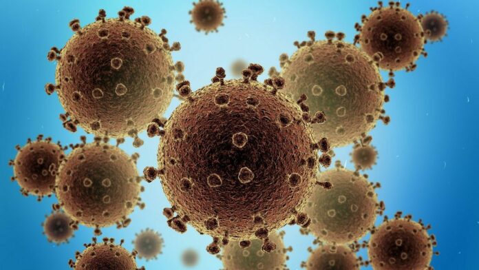 koronavirus-oblozhka
