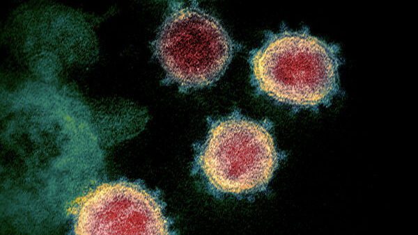 1569545328_0_0_2622_