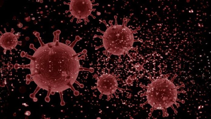 koronavirus-malinovy