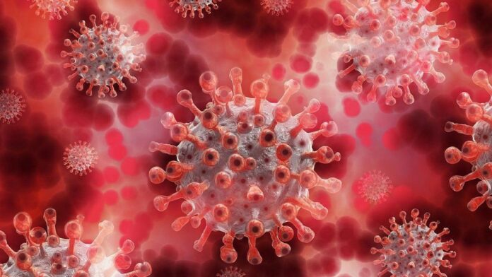 koronavirus-oblozhka (1)