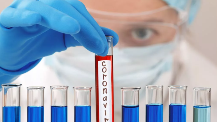 koronavirus-oblozhka