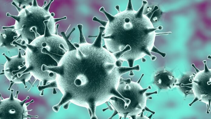 koronavirus8