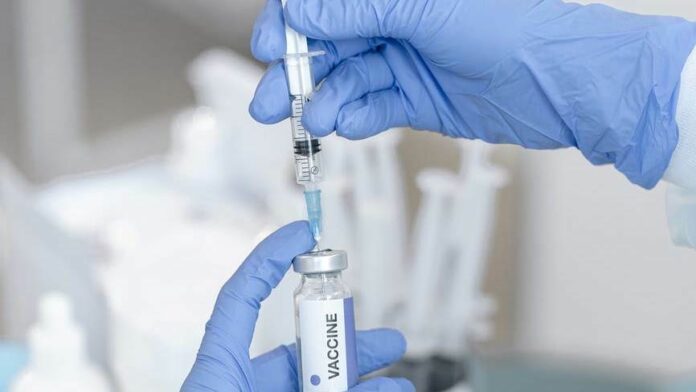 pexels-photo-8413152