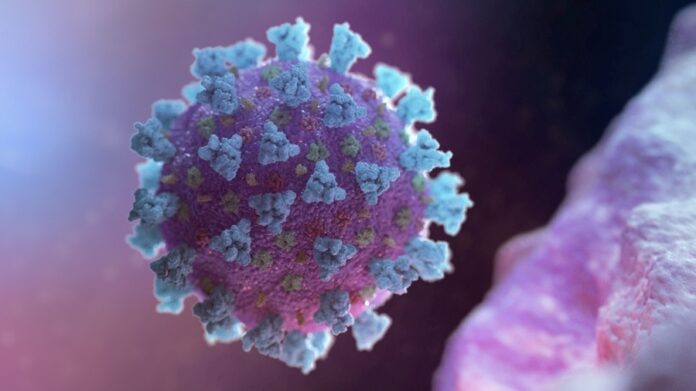 коронавирус 9999