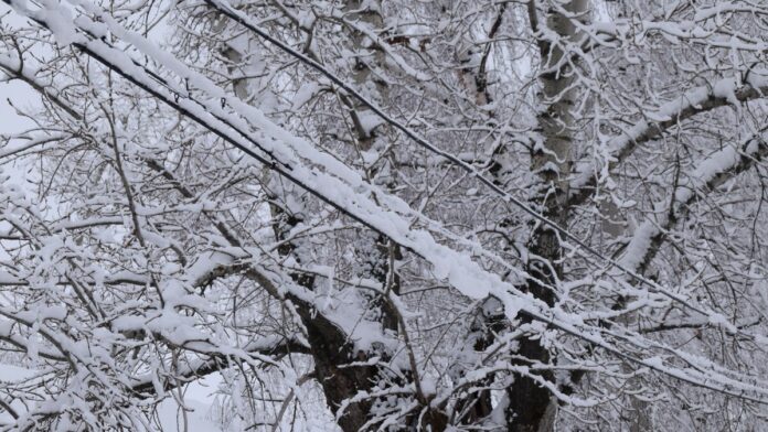 unnamed-file-4-696x392