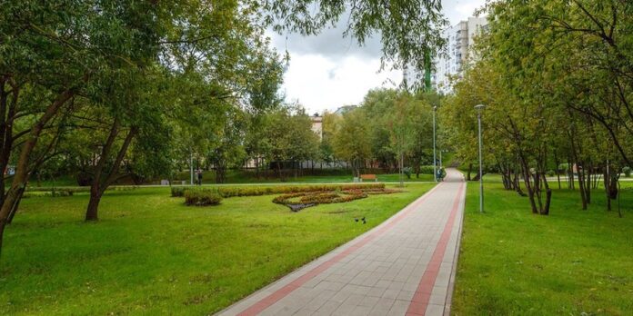 images_cms-image-000004546