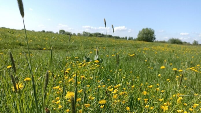 погода лето