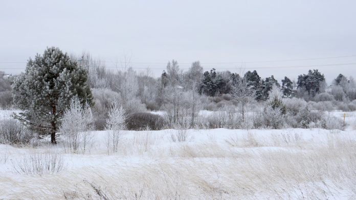 погода зима пасмурно