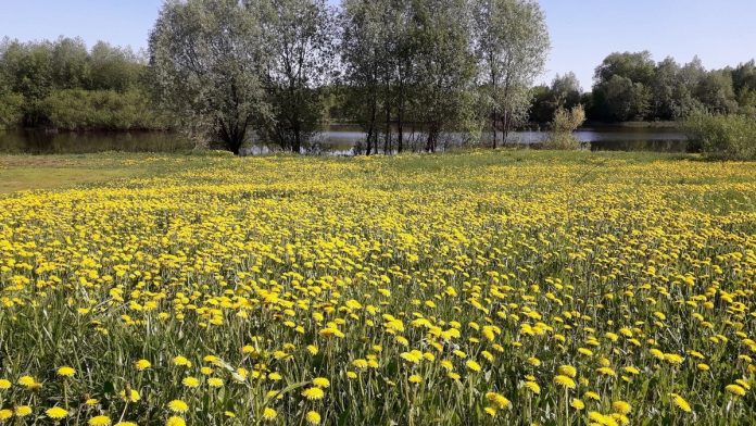 погода весна