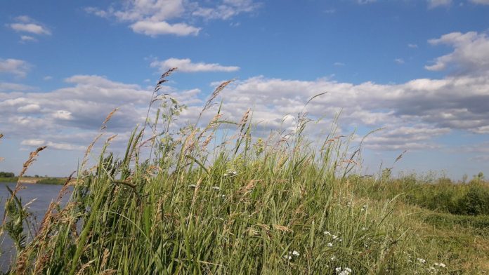 trava-i-oblaka-1536x864