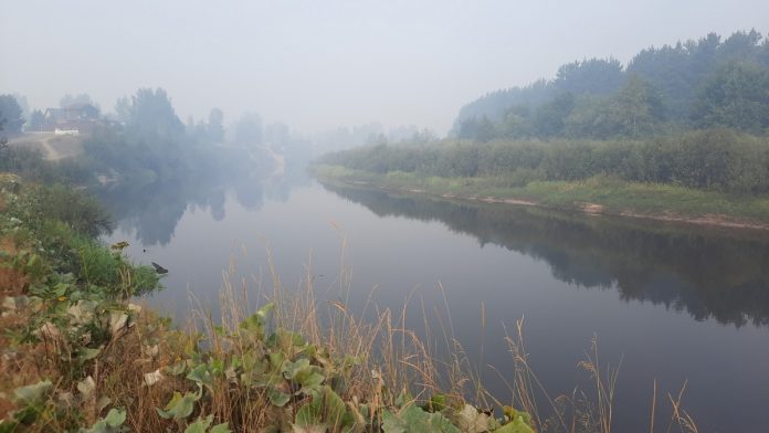 туман над рекой