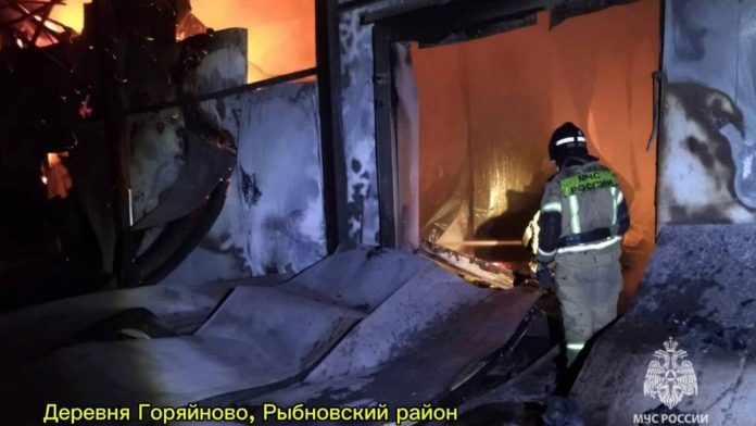 photo_2024-11-13_11-39-00