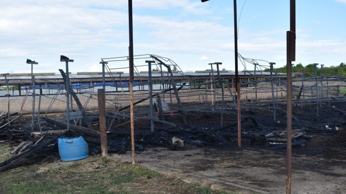 Пожар. Ухолово.14.05.25