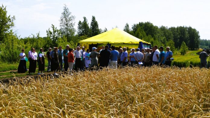 polya-minselhoz-17.07.2025