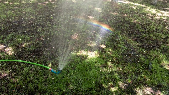 zhara-shlang-gazon-raduga-pressa-26.05.2025