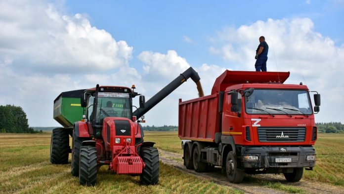zerno-pravitelstvo-12.08.2025