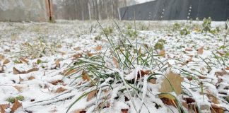 Прогноз погоды на понедельник от синоптиков Рязанского ЦГМС