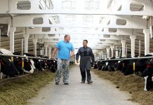 В сфере АПК Рязанской области требуются механизаторы и животноводы