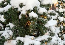 6 января в Рязанской области температура воздуха опустится до 15°С