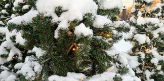 6 января в Рязанской области температура воздуха опустится до 15°С