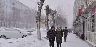 Днем 16 февраля в Рязанской области пройдет сильный снег