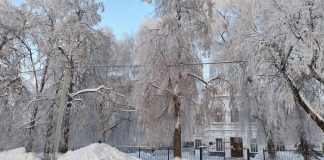 8 февраля в Рязанской области температура воздуха понизится до -15°С