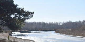 10 марта в Рязанском области потеплеет до +6°С