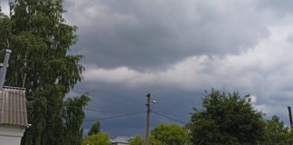 В понедельник в Рязанской области ожидаются грозы