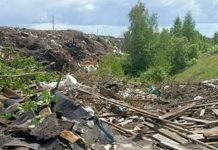 В Ухоловском округе обнаружили нелегальную свалку площадью 5 485 квадратных метров
