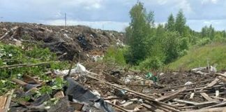 В Ухоловском округе обнаружили нелегальную свалку площадью 5 485 квадратных метров