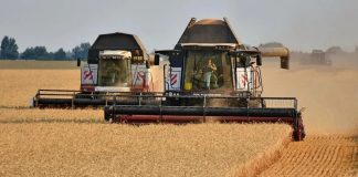 В Рязанской области собрали 67 тысяч тонн зерна