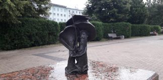 27 июля в Рязанской области будет пасмурно, местами пройдут дожди