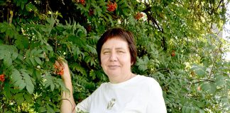 Социальный работник Людмила Киселёва: «Главное в нашем деле – милосердие»