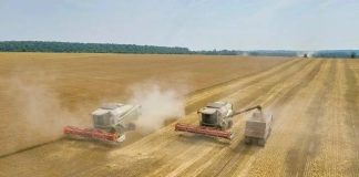 Рязанские аграрии собрали миллион тонн зерна